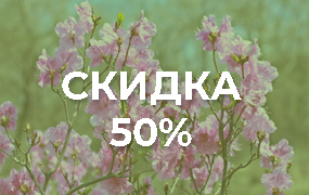Условия предоставления скидки на проживание 50%